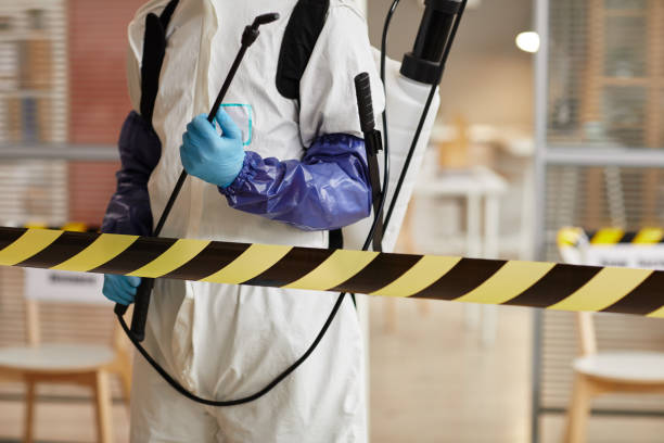 Professional Sewage Cleanup technician working in Bishop, CA