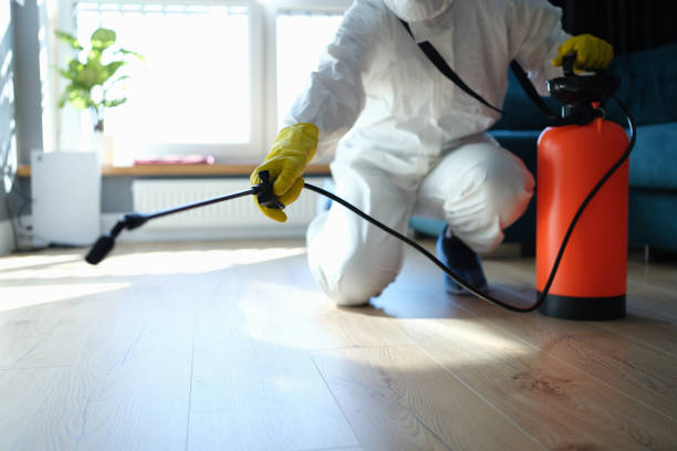 Reliable Sewage Cleanup contractor in Bishop, CA by Trauma Clean Pros